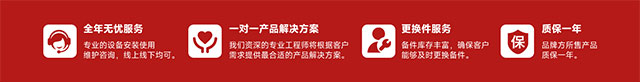 揚(yáng)子升降機(jī)服務(wù)